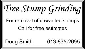 2024-21 tree stump
