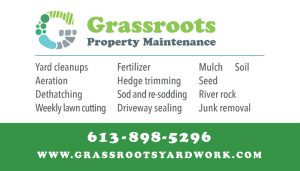 grassroots_ad_carte_print_colour_postcard_biz_card